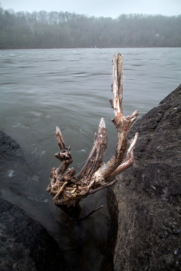 Winter Arrives on the Potomac thumbnail