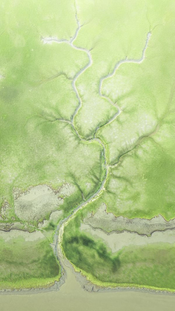 Green tidal land thumbnail