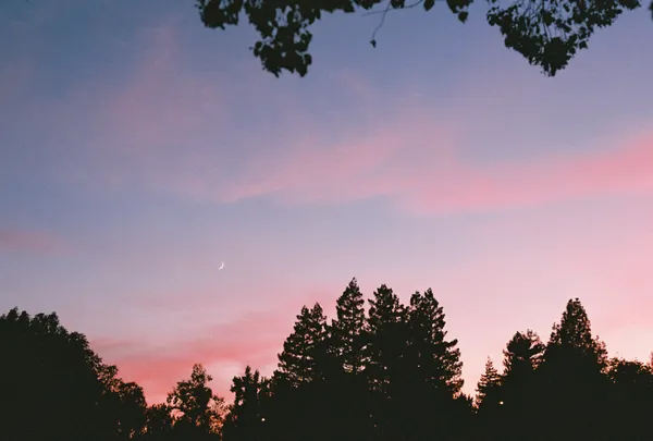 A Vivid pink sunset thumbnail