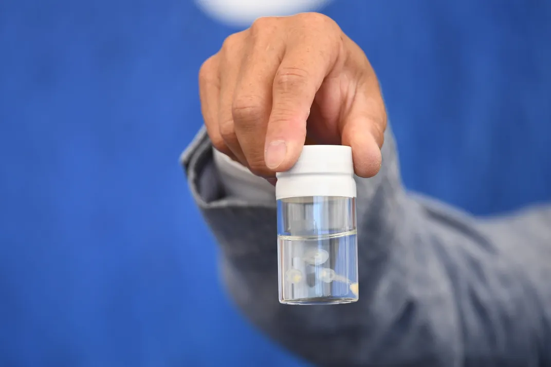 A hand holding a small container with jellyfish