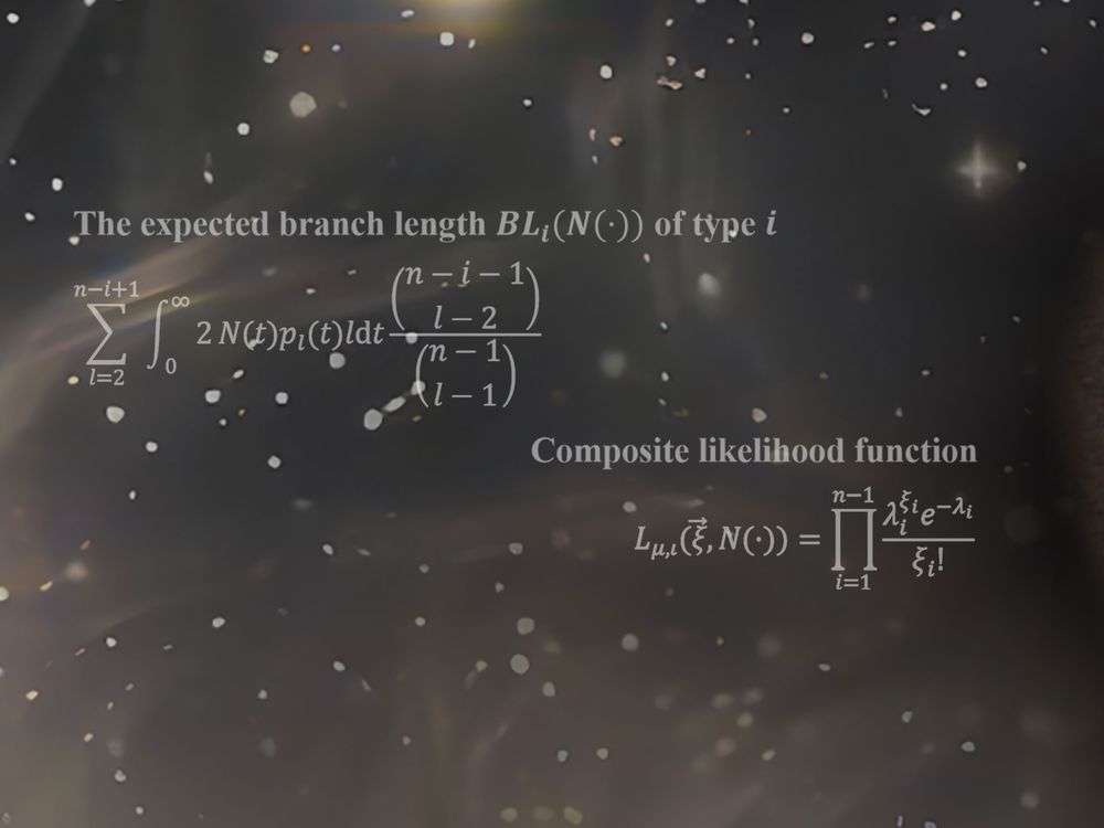 Equations for Human Bottleneck Study