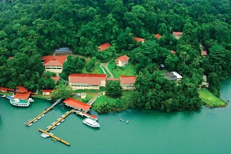 On June 3 live from Panama, Smithsonian Tropical Research Institute staff share their ground-breaking research on tropical forests and marine ecosystems.