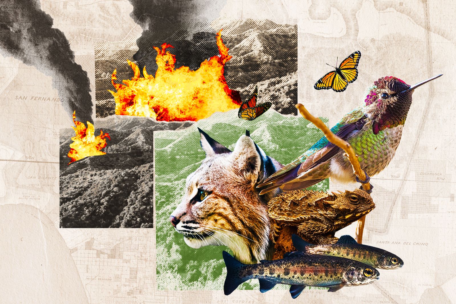 Looking Back on the L.A. Wildfires Through the Lens of Two Photographers