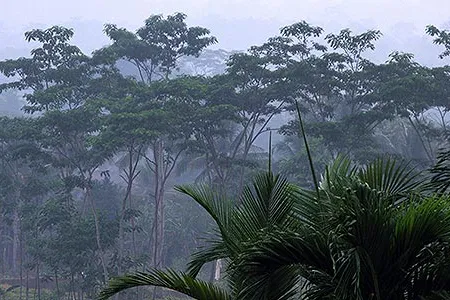 In 1948, a plane carrying Navy pilot Bobby Freeberg disappeared in the jungles of Indonesia but what happened to him after the crash remains a mystery.