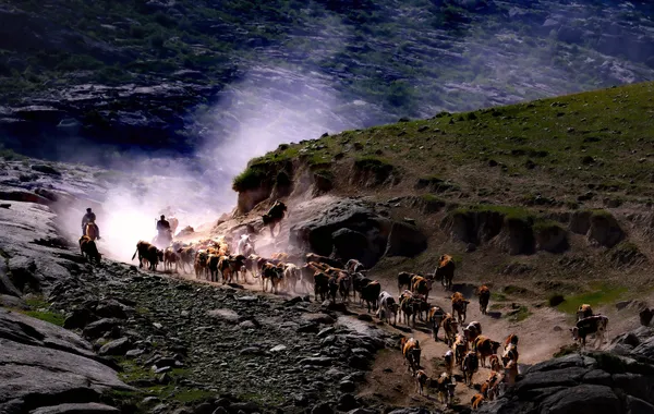 Migration across the wilderness thumbnail