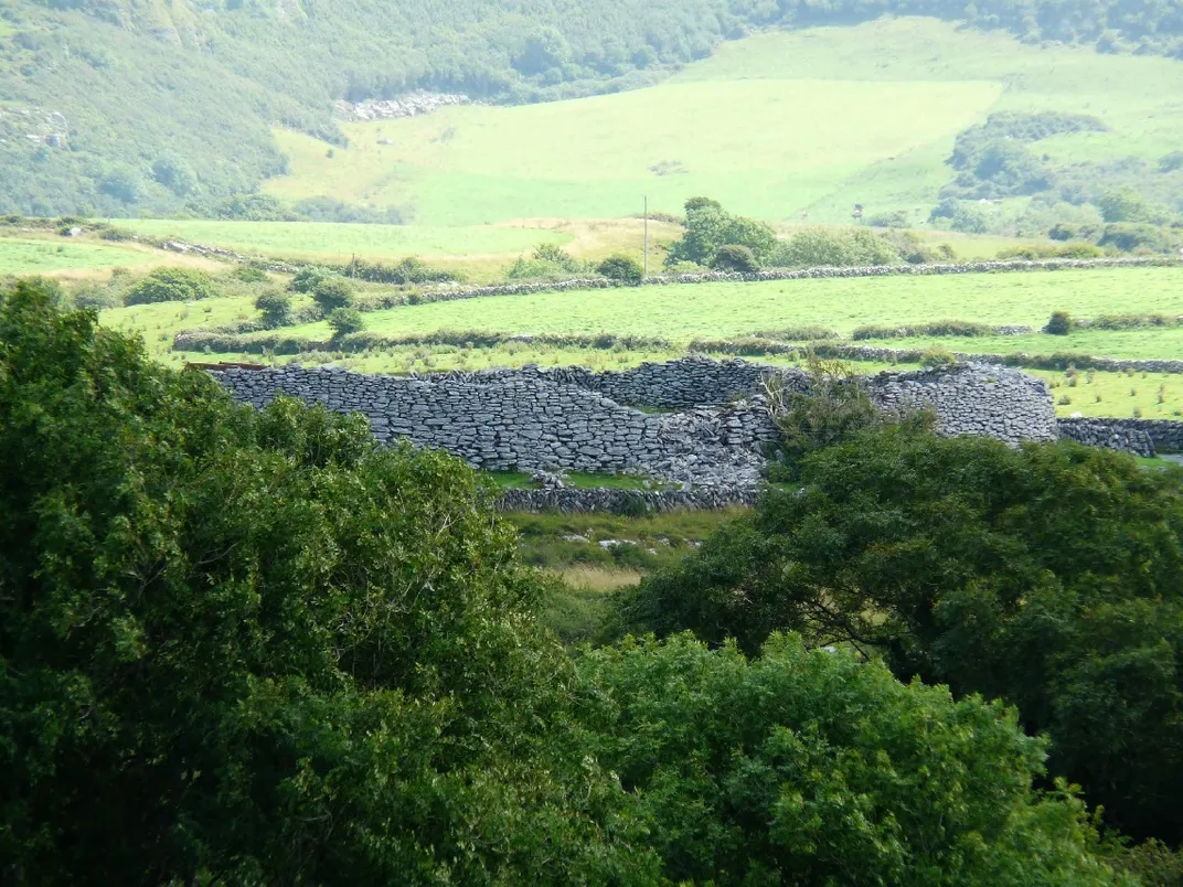 Ring fort Caherconnell Cashel seen through tree cover