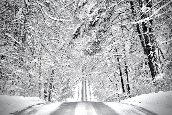 Vergennes Drive on a Snowy Morning thumbnail