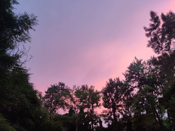 Purple sky thumbnail