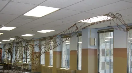 Roger Cutler's wire Apatosaurus