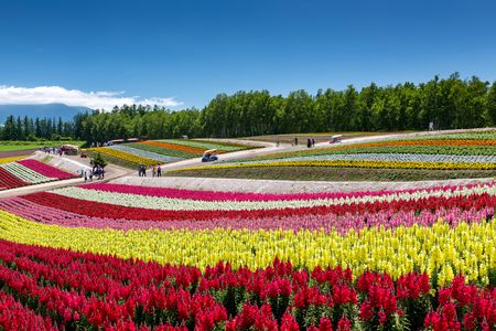 Furano, Japan