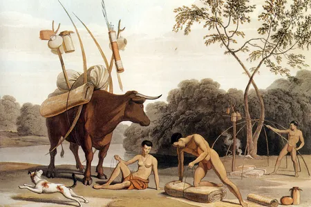 Khoikhoi of South Africa dismantling their huts, preparing to move to new pastures—aquatint by Samuel Daniell (1805). Pastoralism has a rich history in Africa, spreading from the Saharan region to East Africa and then across the continent. 