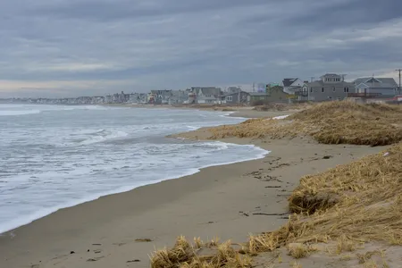 Samples gathered at Wells Beach, shown here, revealed that the mysterious brown substance was made up of millions of bug carcasses. 