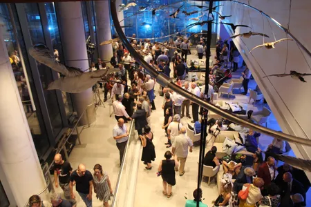 A crowd gathers in the "Bird Migration" exhibit at the Steinhardt Museum during the inauguration event. 