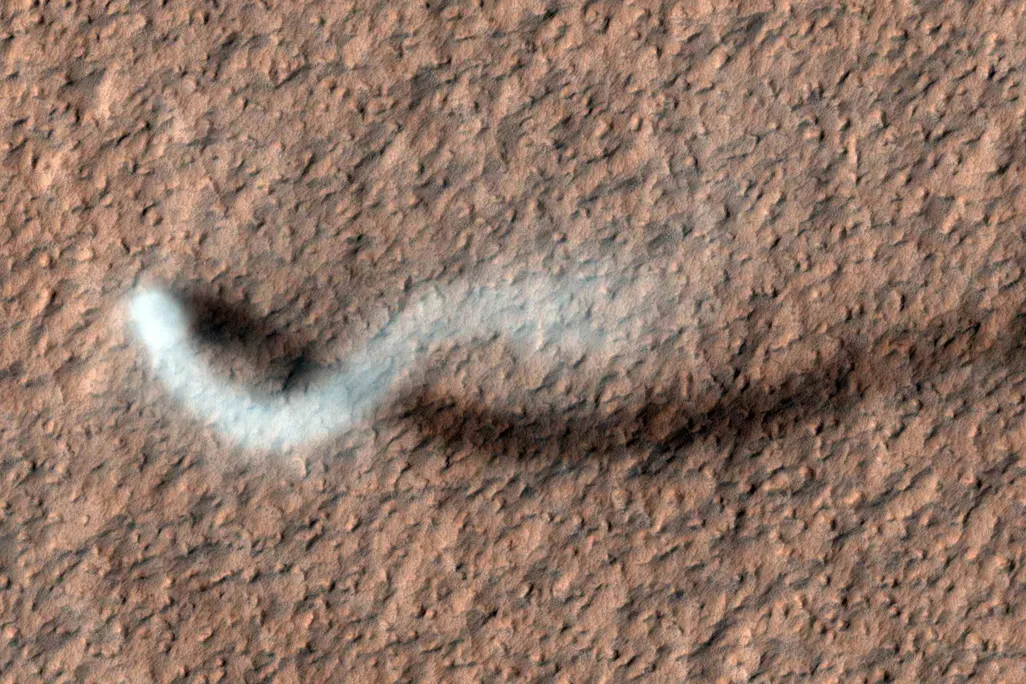A snake-like shape over top of a red surface
