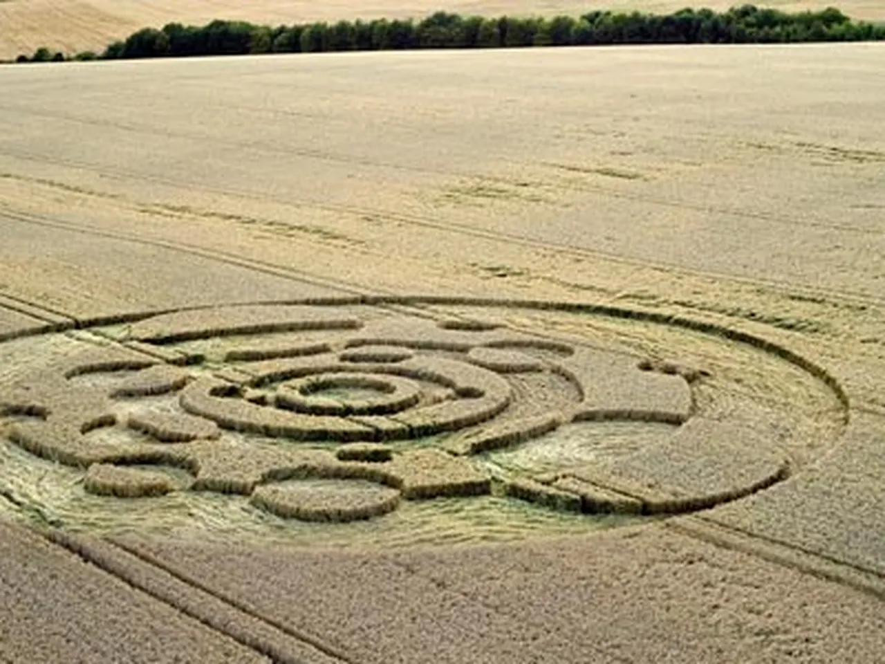 Crop Circles: The Art of the Hoax, image size:1280x960