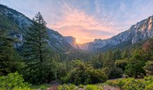 Treasures of Yosemite photo