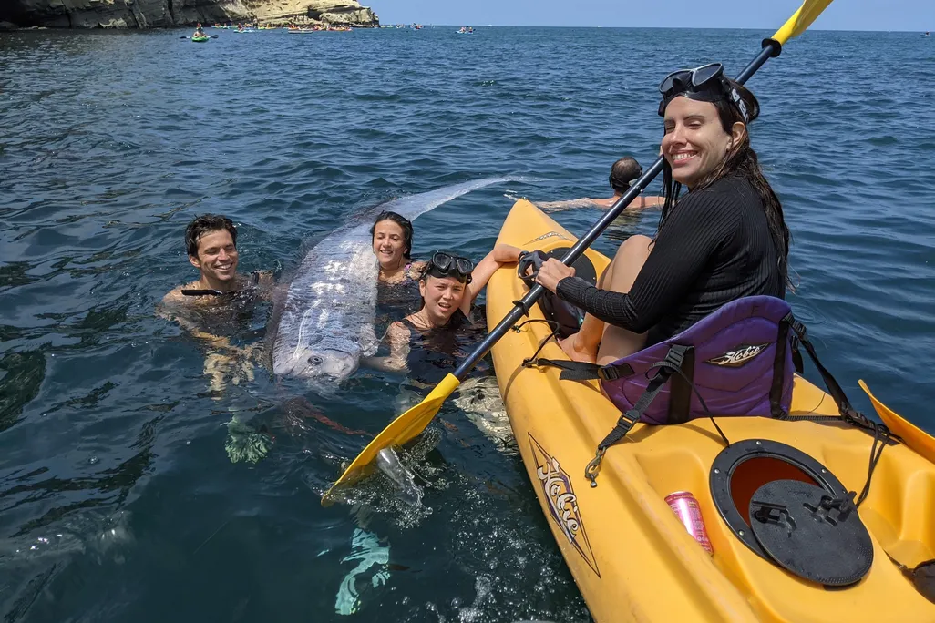 Snorkelers in the water next to a large fish and a yellow kayak with a woman in it