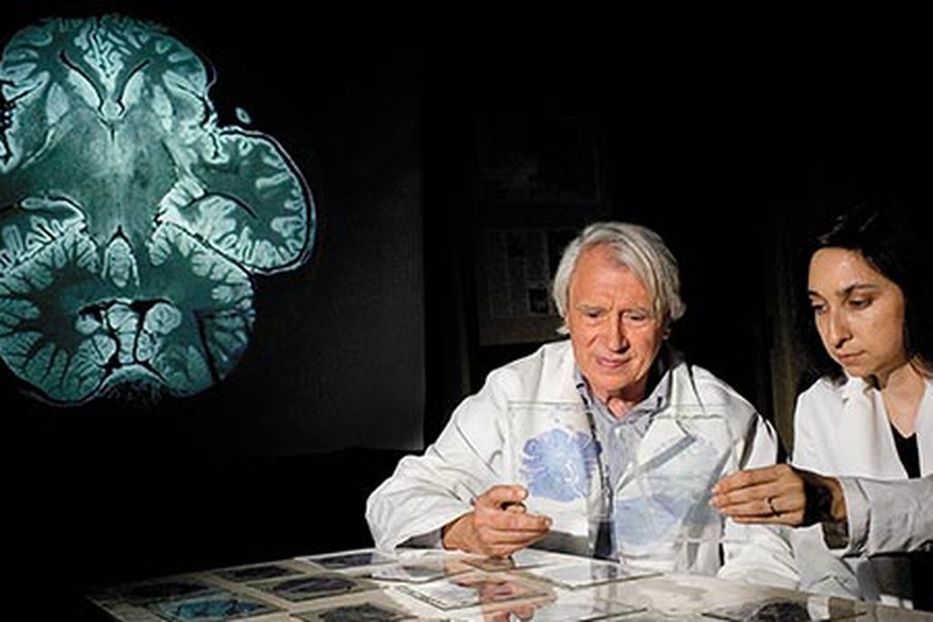 John Allman and Atiya Hakeem examing elephant brain specimens