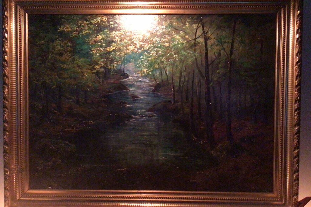 Forest With A Stream