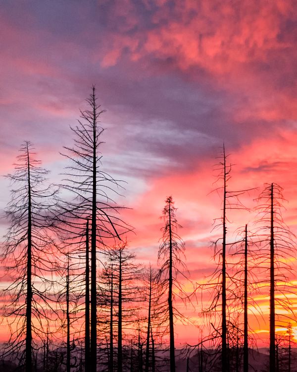 Sunset, Yosemite National Park thumbnail