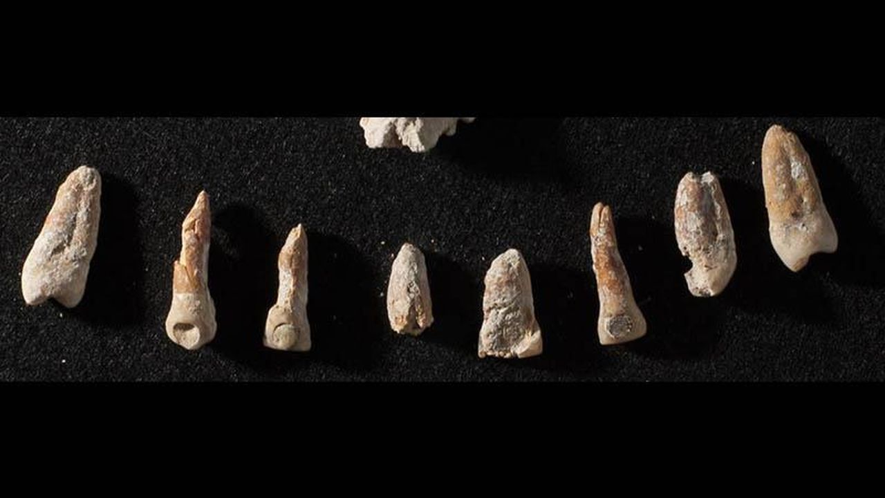 maya_elite_teeth-edit.jpg