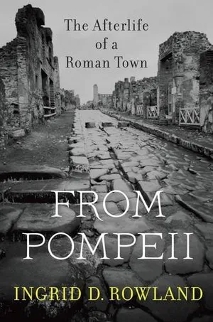 Preview thumbnail for 'From Pompeii: The Afterlife of a Roman Town