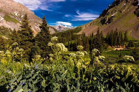 A poem providing clues to the location of a treasure chest filled with gold and jewels inspired thousands to search the Rocky Mountains.