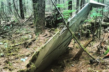 Part of an F-106 that crashed in 1964. The wreckage is in a stand of trees that hasn't been harvested—or visited—in 50 years. 