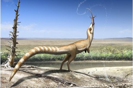 An illustration of the raccoon-like Sinosauropteryx, which lived 130 million years ago in the Early Cretaceous.

