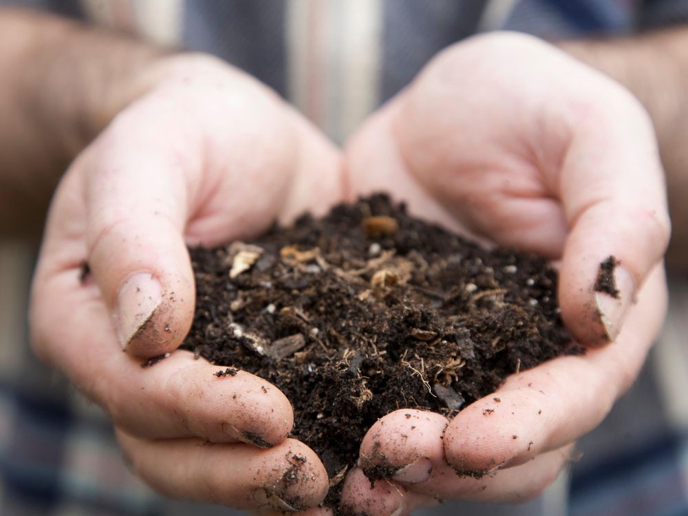 Soil in Hand