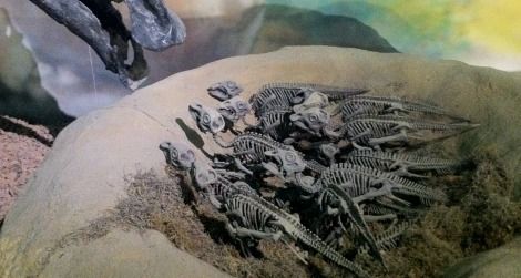 Baby Maiasaura