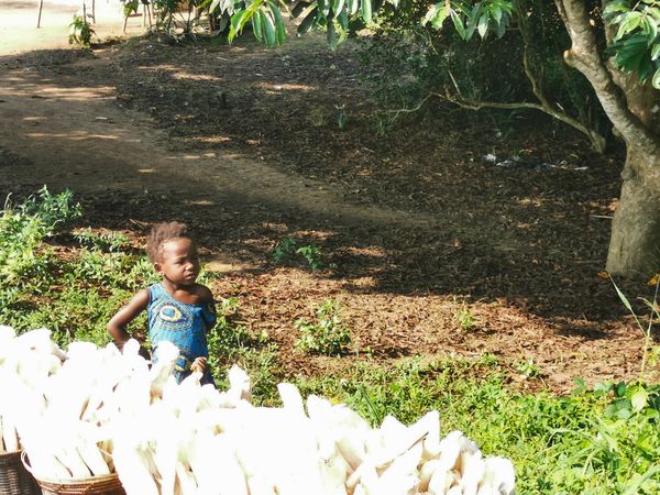 The Little Stallkeeper thumbnail