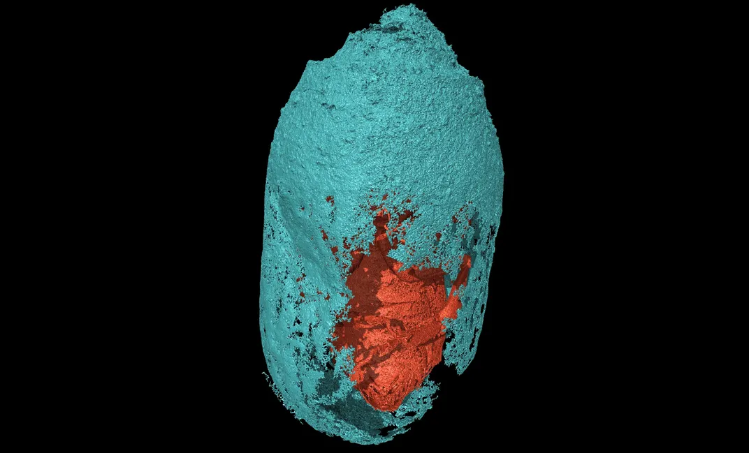 3D scan of ancient bee cocoon