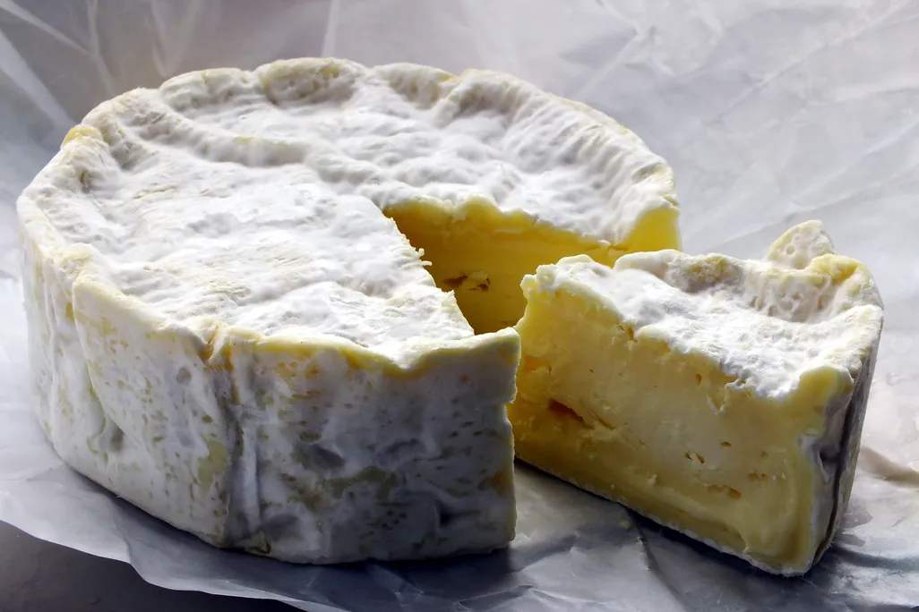 Wheel of camembert cheese