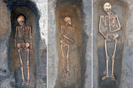 Scholars used a newly developed technique to test skeletons' teeth for the presence of Yersinia pestis, the pathogen responsible for the plague.
