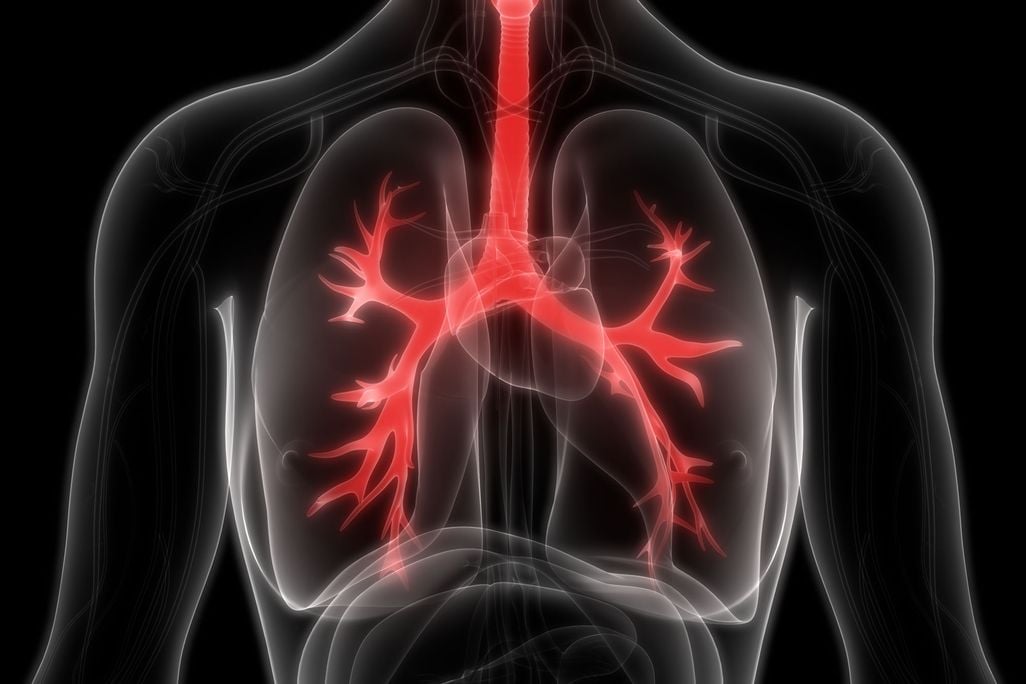 Human Lungs CF