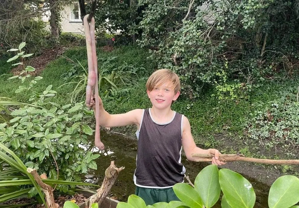 A boy holding a giant earthworm on a stick