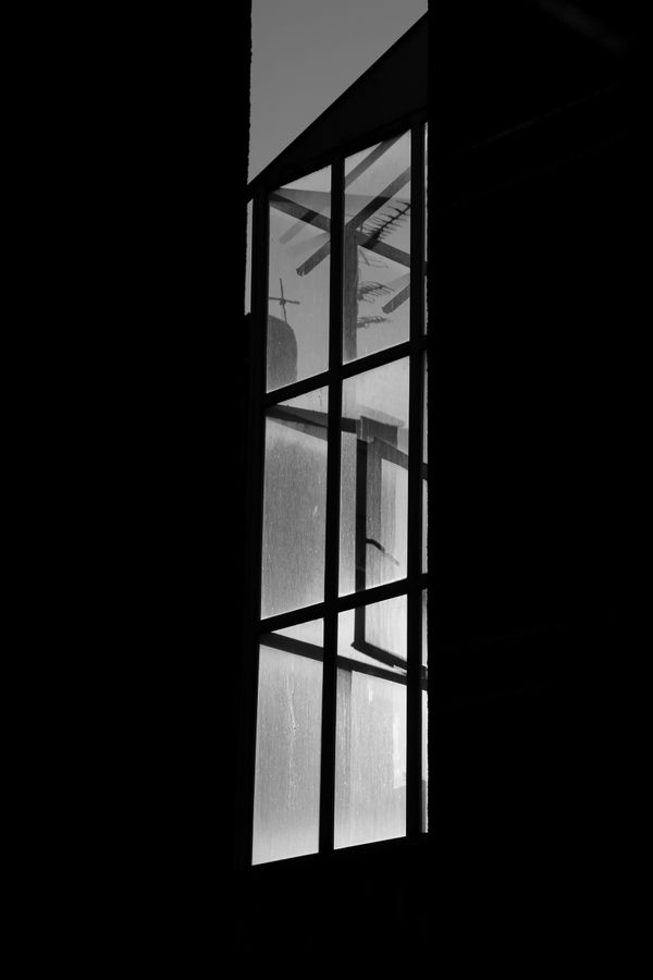 facing the light thumbnail