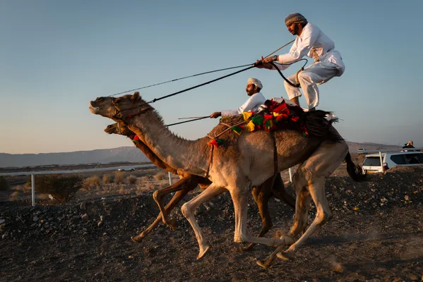 camel races, camera Leica Q2 thumbnail