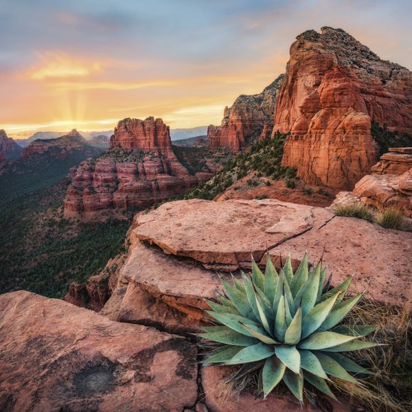 Agave View thumbnail