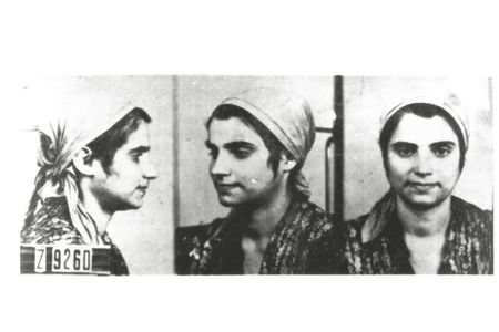 Roma or Sinti girl imprisoned in Auschwitz, as seen in pictures taken by the SS for their files