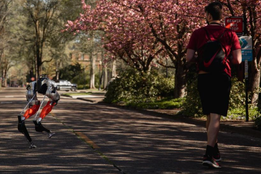 Cassie the Robot runs alongside her human handler, a student at Oregon State University