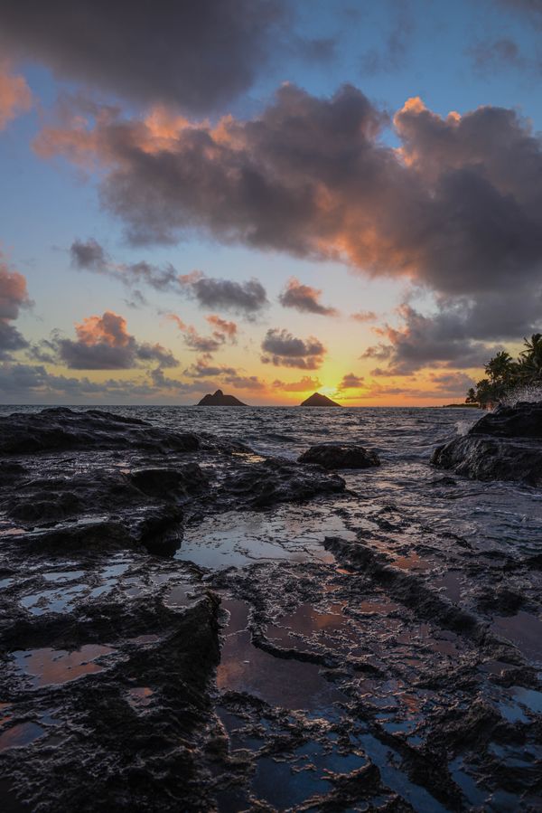 Sunrise hunting on Oahu thumbnail