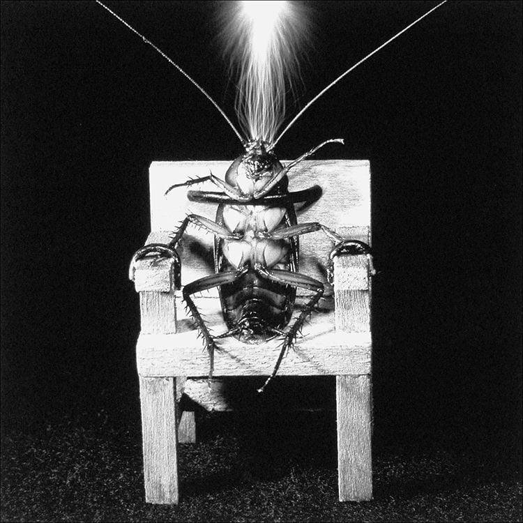 The Creepy, Crawling History of Insect Art