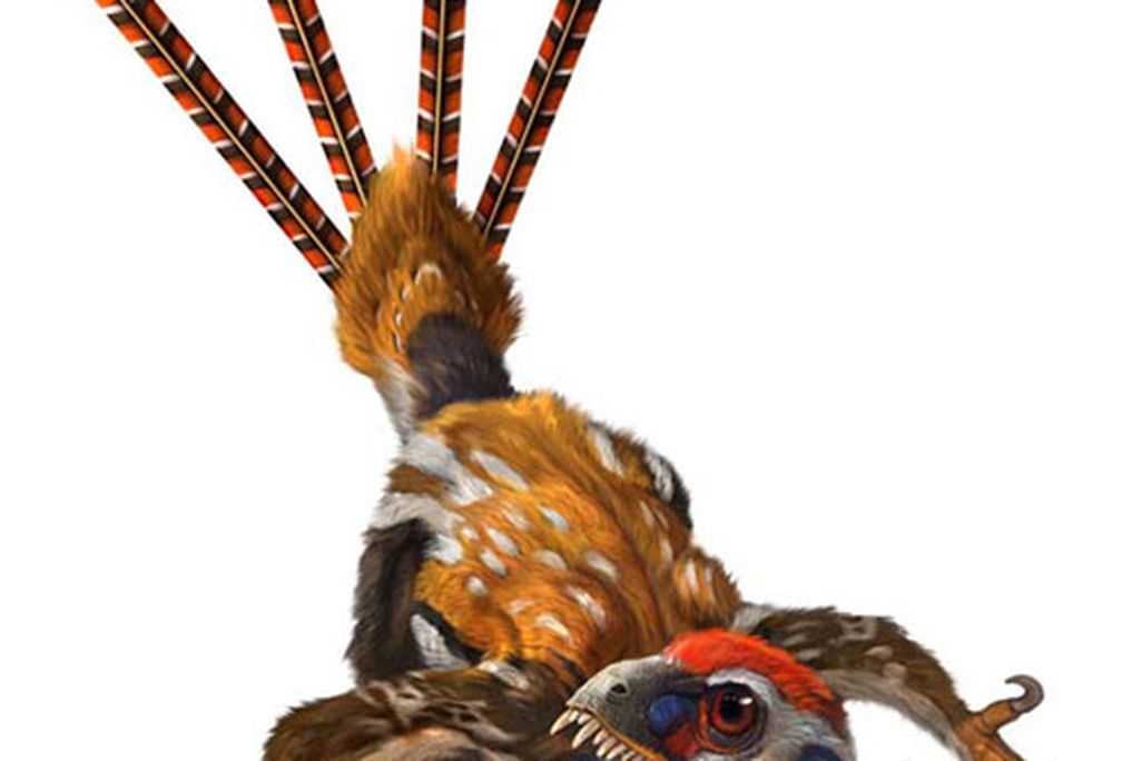 20110520083107feathered_dino.jpg