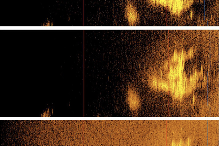 An expedition last fall captured a sonar image of a roughly plane-shaped object near Howland Island in the Pacific Ocean, which the team suggests could be Amelia Earhart&#39;s vehicle.
