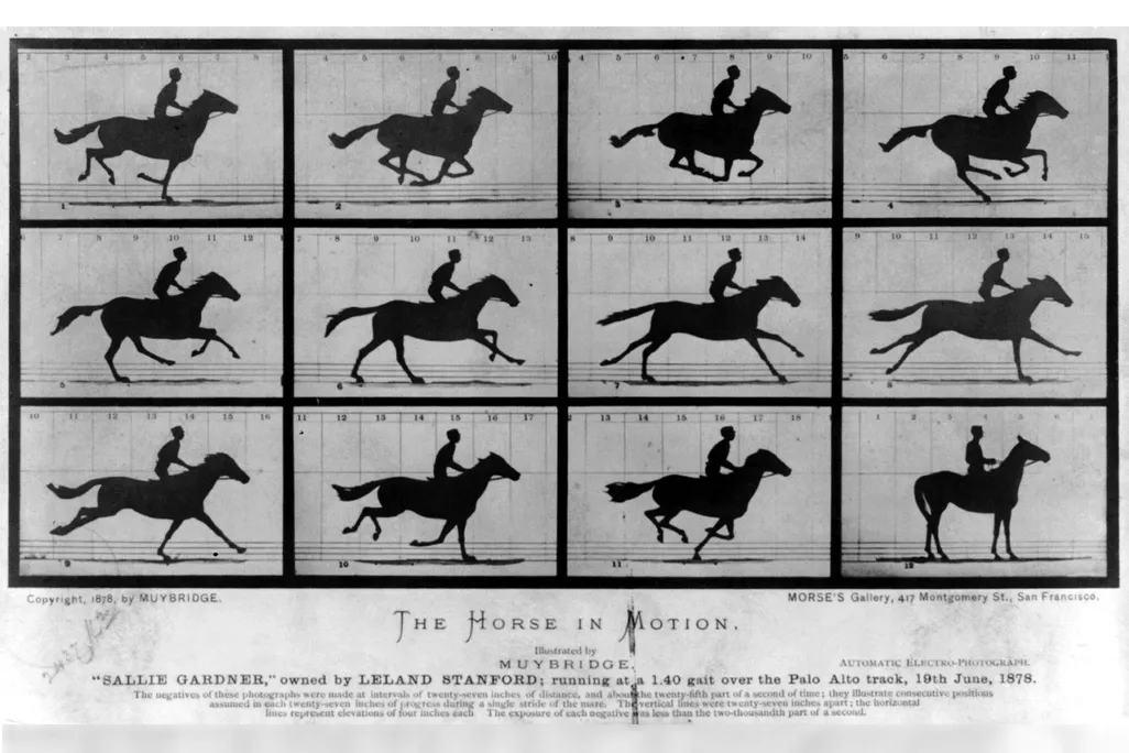 The Horse in Motion