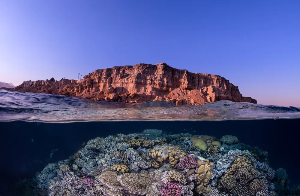 An over-under view of an Egyptian coastline affords a symmetric look of the stark desert landscape and colorful pristine coral below the waterline.