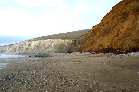 Shepherd Chine beach on the Isle of Wight, near where the footprint was discovered.