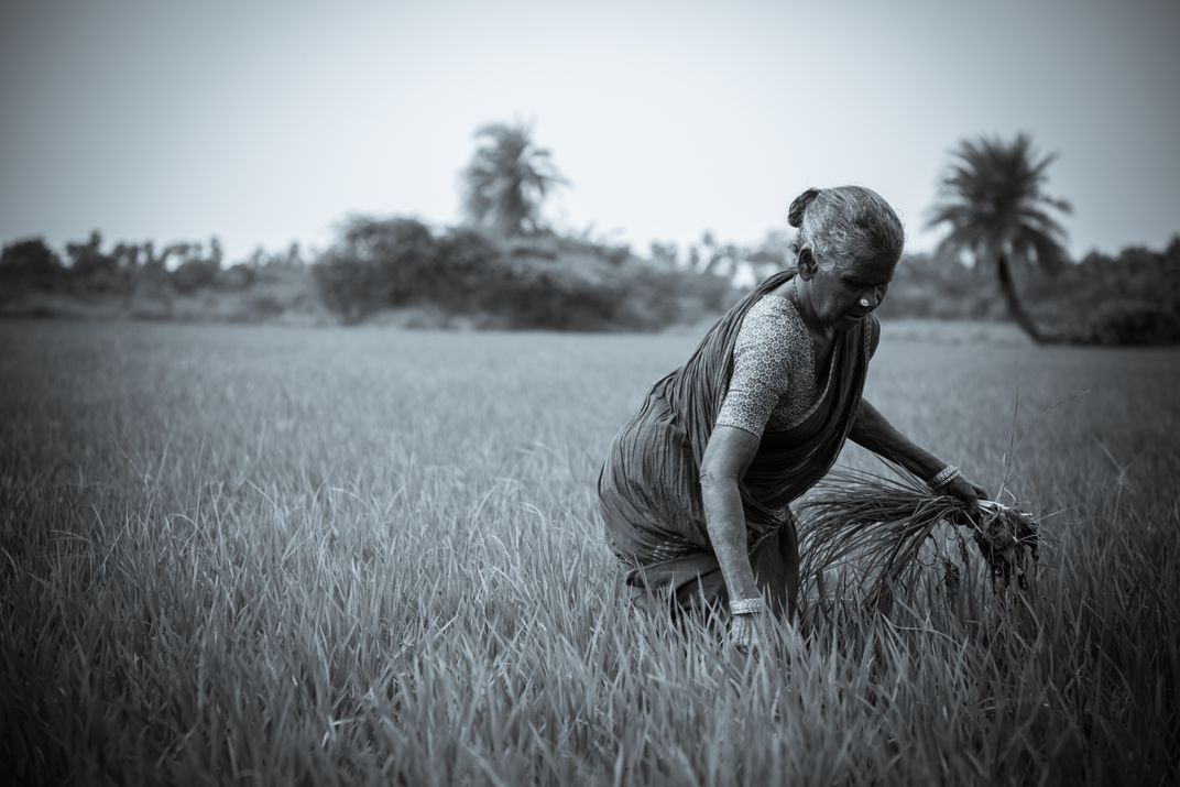 Lady Farmer Smithsonian Photo Contest Smithsonian Magazine